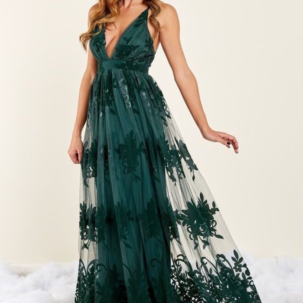 Luxxel Halle Tulle Velvet Floral Lace Maxi Dress.